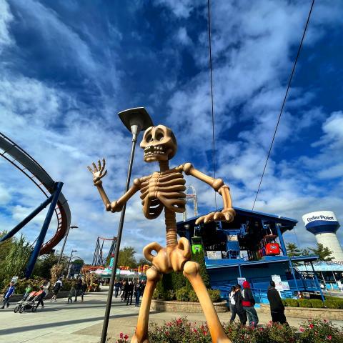 Halloweekends skeleton