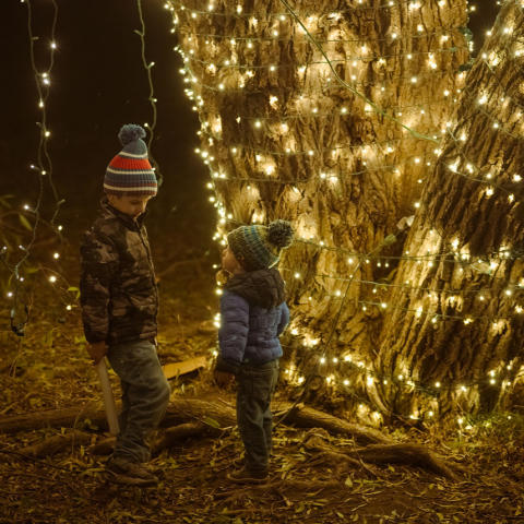 Twin Oast Winter at the Oast kids