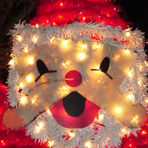 Zoo Festival of Lights