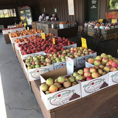 Granny Smith – Shenandoah Valley Orchards