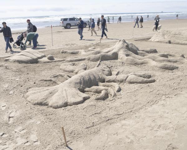 Your Cannon Beach Adventure Awaits!