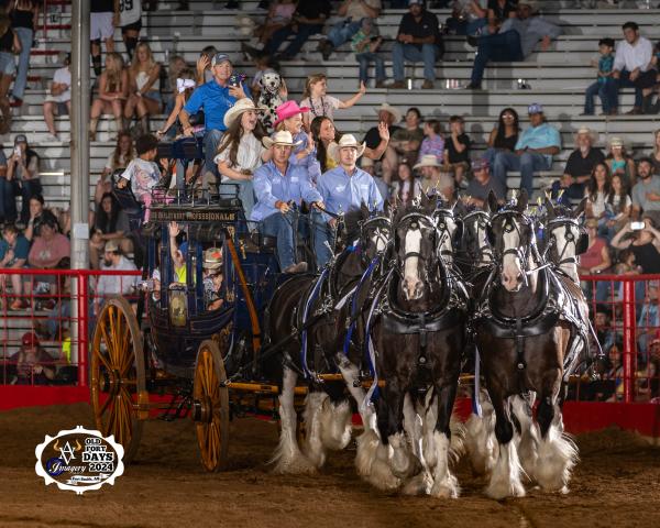 Four black and white draft horses with feathered hooves pull a family in a carriage at Old Fort Days Rodeo in Fort Smith, Arkansas.
