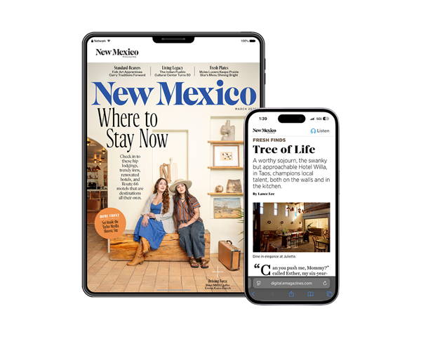 Digital Subscription