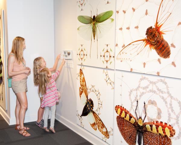 Family looking at Small Wonders Exhibit