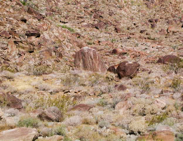 MiAsKalet_Tahquitz_Canyon