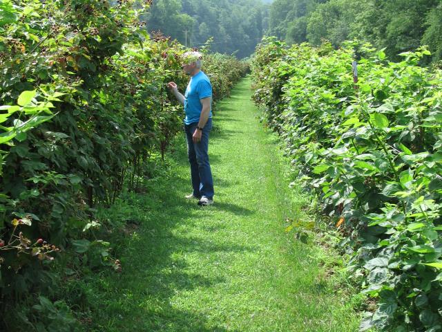 Asheville Farm