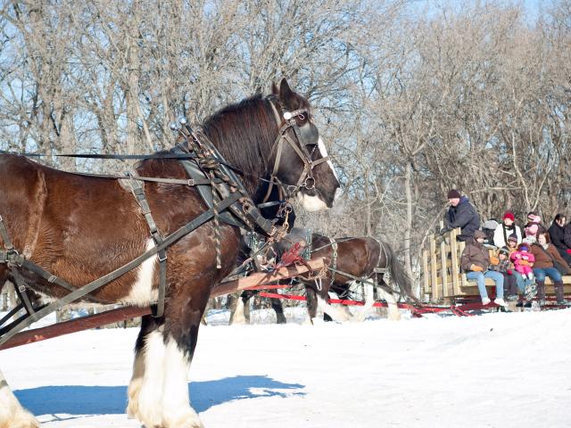 Wagon Rides, Festival du Voyageur