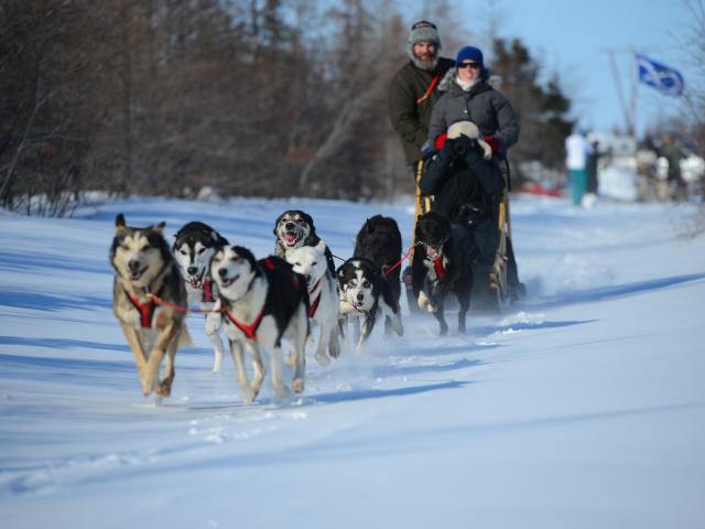 Frontiers North Adventure dog sled