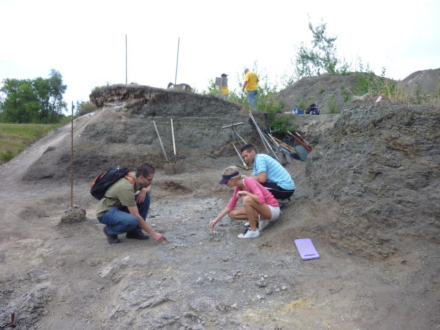 Group dig, Canadian Fossil Discovery Centre