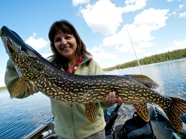 The One That Didn't Get Away, Northern Pike