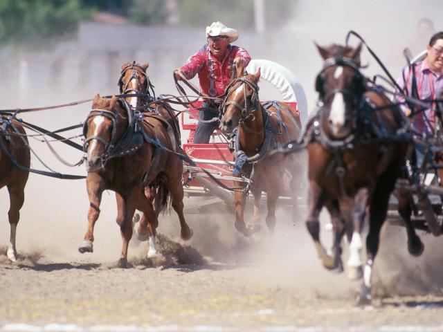 Wagon Races, Manitoba Stampede & Exhibition