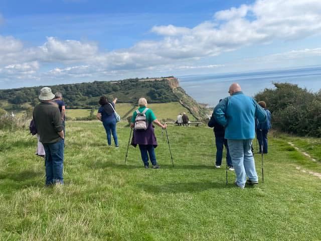 A group of people with hiking poles walk on a grassy cliff path. They face a scenic sea view under a blue, partly cloudy sky, evoking a tranquil mood.