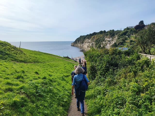 A group of hikers walks down a path through lush greenery toward a serene coastal view with cliffs, under a clear blue sky, evoking a sense of tranquillity.