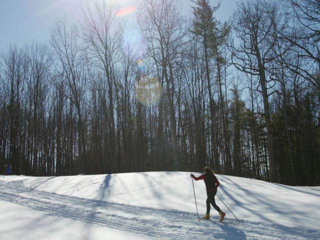 X-Country Skier with Sunshine