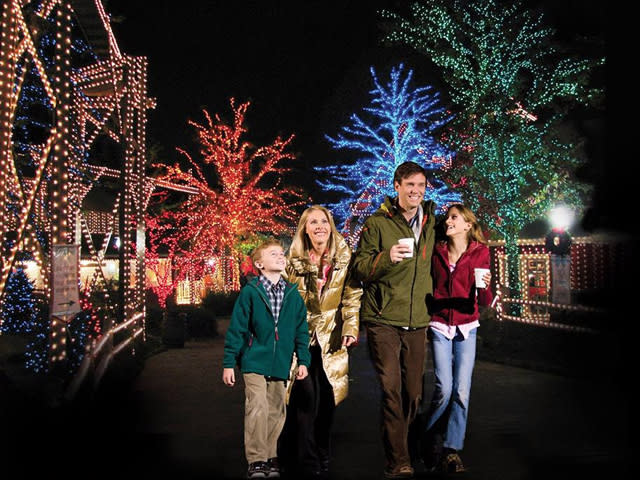 Stone Mountain Christmas