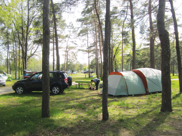 State Park Camping