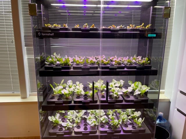 GRB grow box case