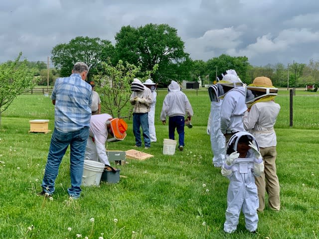 Four Leaf honey Farm Richmond experience