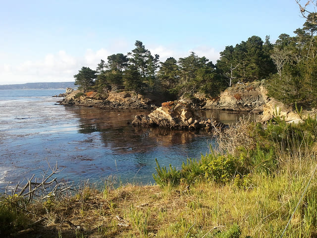 Point Lobos, Carmel