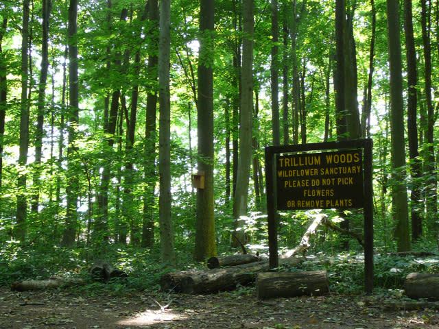 Trillium Woods Sign