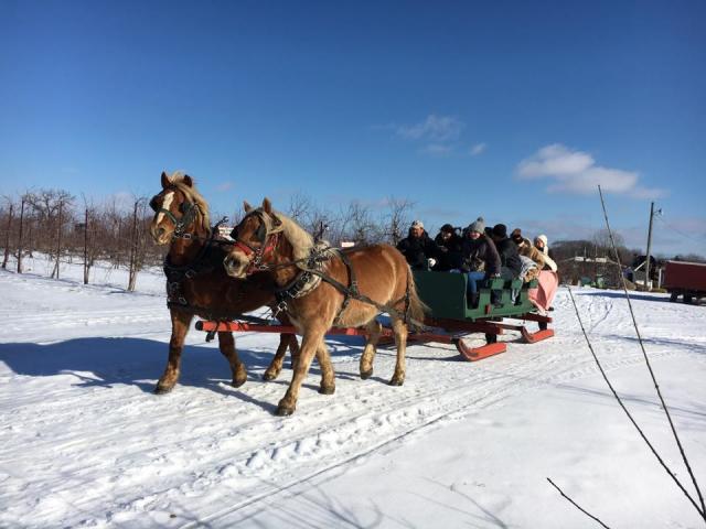 Apple Holler Sleigh Rides