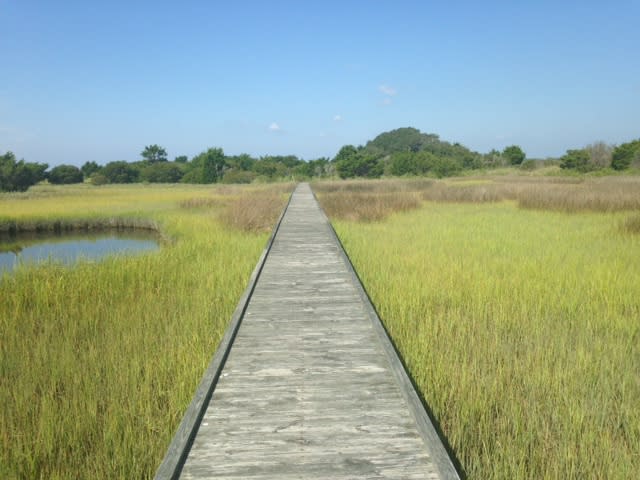 FFSRA Basin Trail