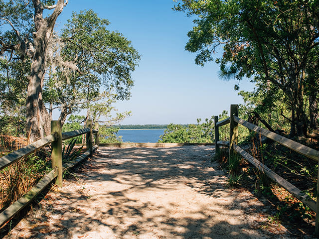4x3 Sugarloaf Dune