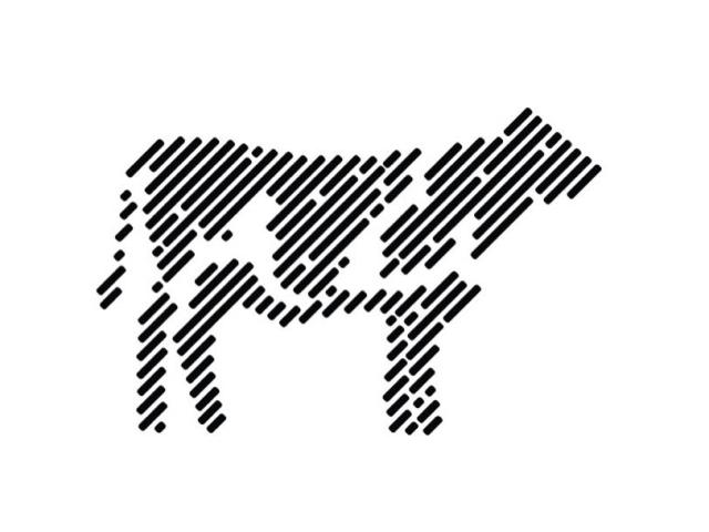 Caff Cow