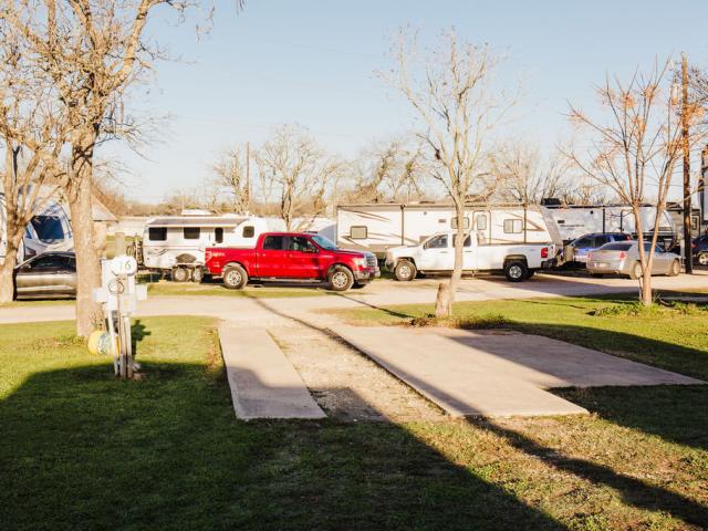 park image