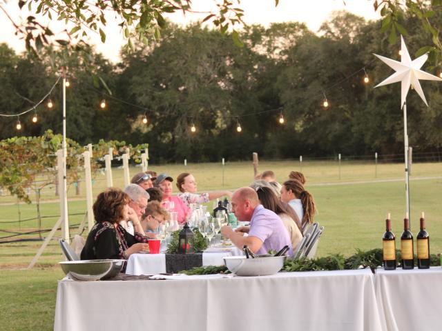 Dinner in the Vineyard