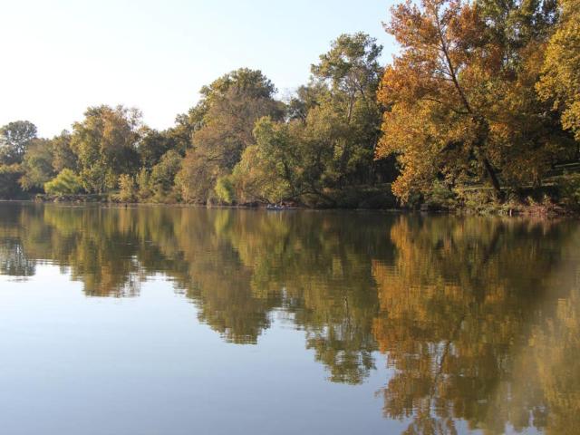 River Bungalow River View