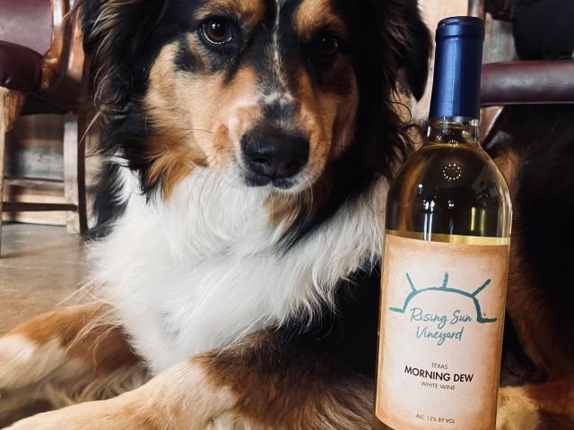 Winery Dog