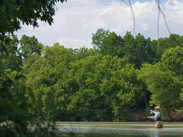 Fly Fishing