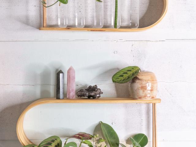 Propagation Station