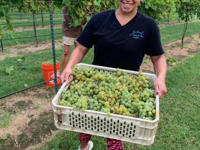 Harvest!