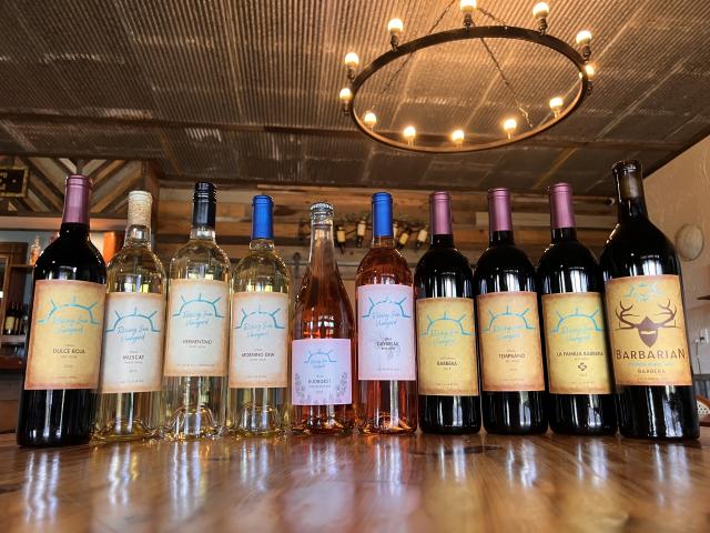 Wine Bottle Line Up