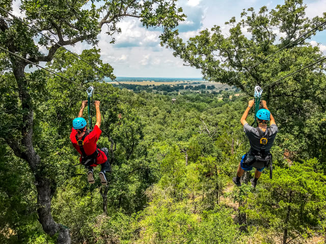 Zip Lost Pines