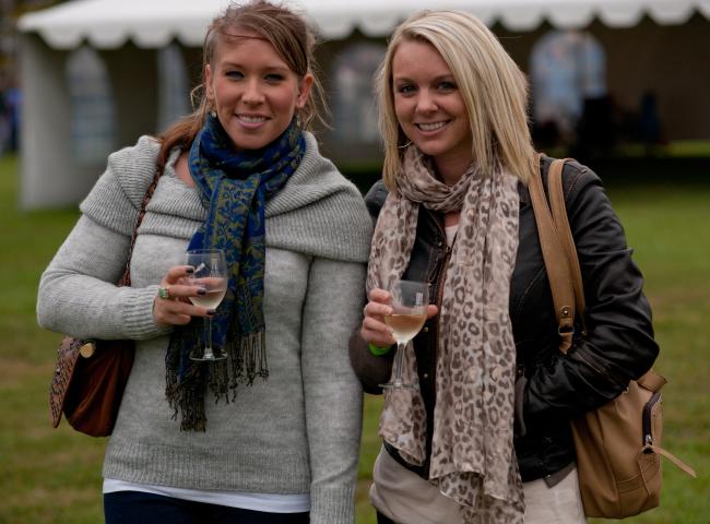 Chesapeake Virginia Wine Festival — organizer artwork