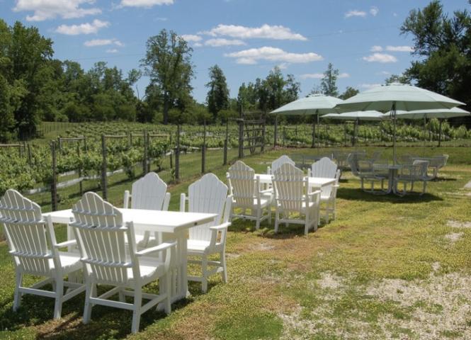 Outdoor seating for wine tasting