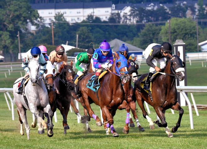 Horse running a race at Laurel Park.
