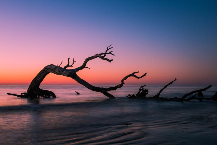 Driftwood Beach at Sunrise