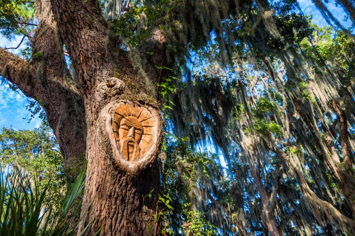 Tree Spirit on St. Simons Island