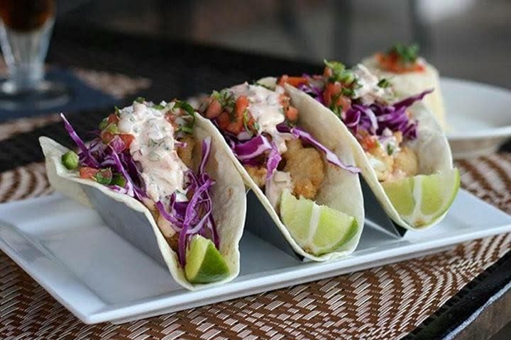 Blue Cactus Tacos & Tequila Bar | Festival Country