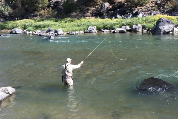 33601-Fly_Fishing-Medium