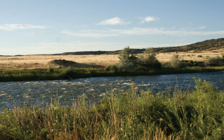 Top 5 Fishing Secrets: Public Access