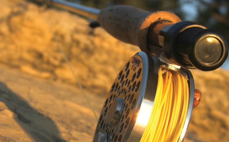 Top 5 Fishing Secrets