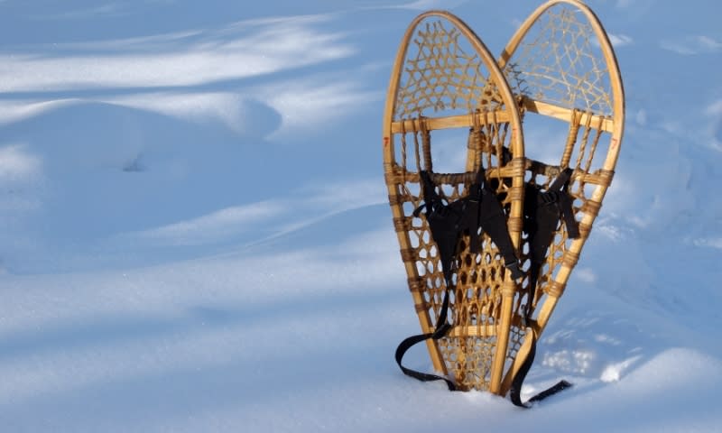 Pair of snowshoes propped up in fresh snow