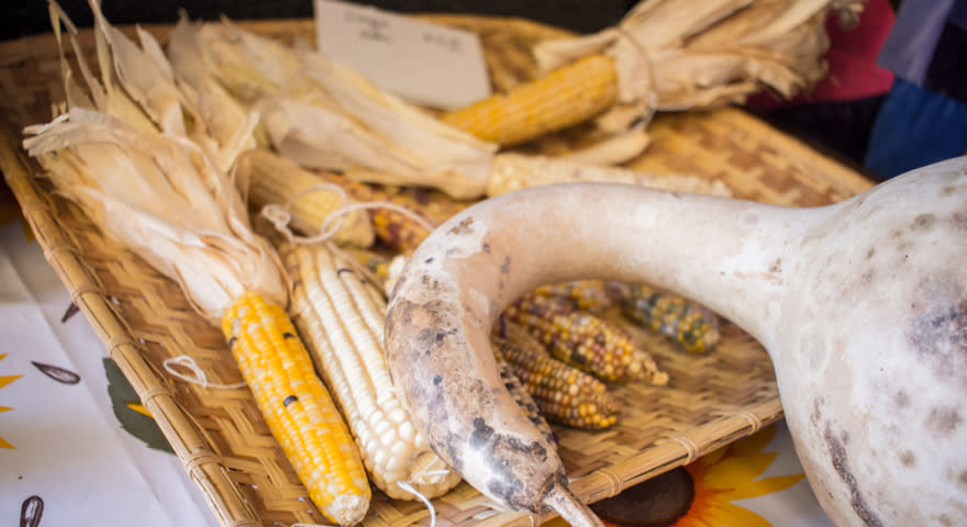 corn and gourd