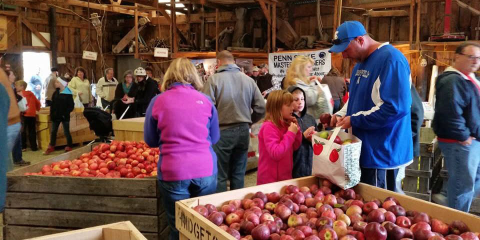 Delmont Apple n Arts Festival