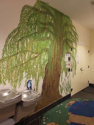 Willow school